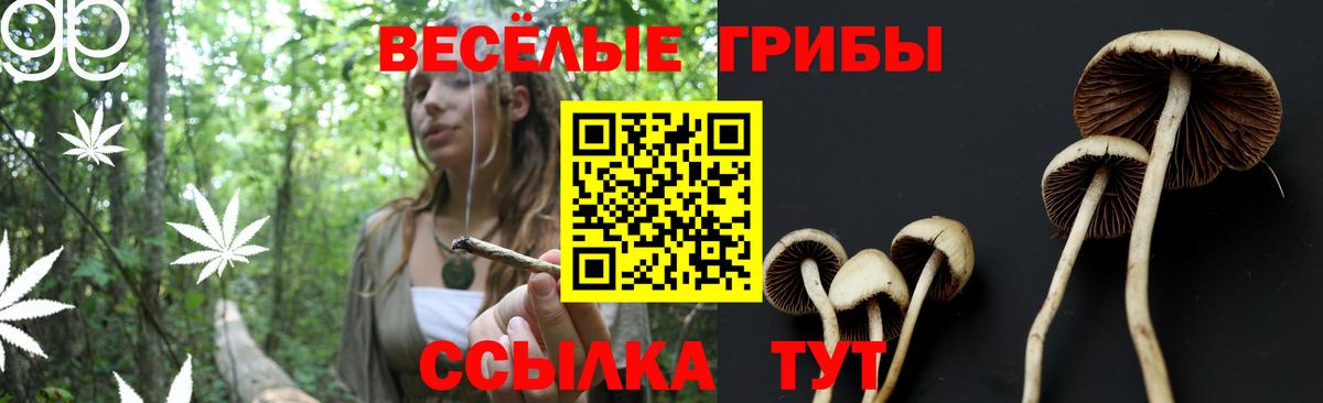 закладки  Галлюциногенные грибы Psilocybe  Новокуйбышевск  Вход с VPN  Псилоцибиновые грибы Magic Shrooms 